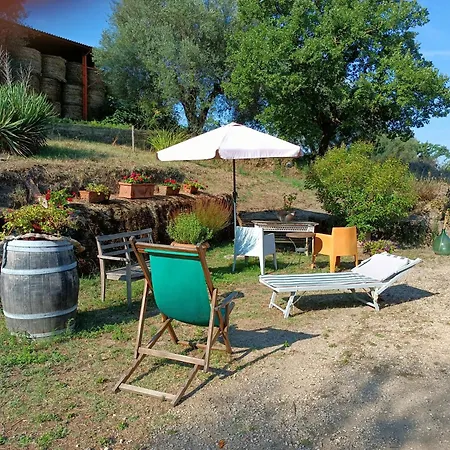 Il Mandorlino In Tipico Casale Maremmano Con Portico E Giardino Lägenhet