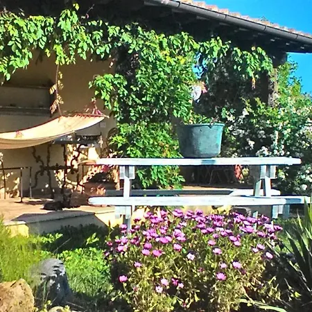 Il Mandorlino In Tipico Casale Maremmano Con Portico E Giardino Διαμέρισμα Πιτιλιάνο