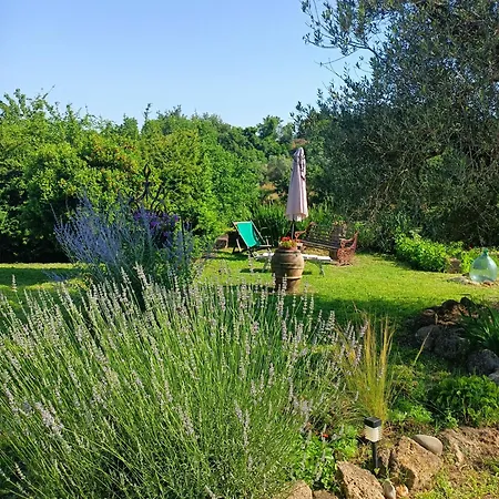Il Mandorlino In Tipico Casale Maremmano Con Portico E Giardino * Πιτιλιάνο