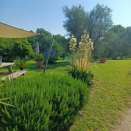 Διαμέρισμα Il Mandorlino In Tipico Casale Maremmano Con Portico E Giardino *
