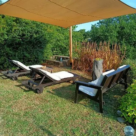 Il Mandorlino In Tipico Casale Maremmano Con Portico E Giardino Διαμέρισμα Πιτιλιάνο